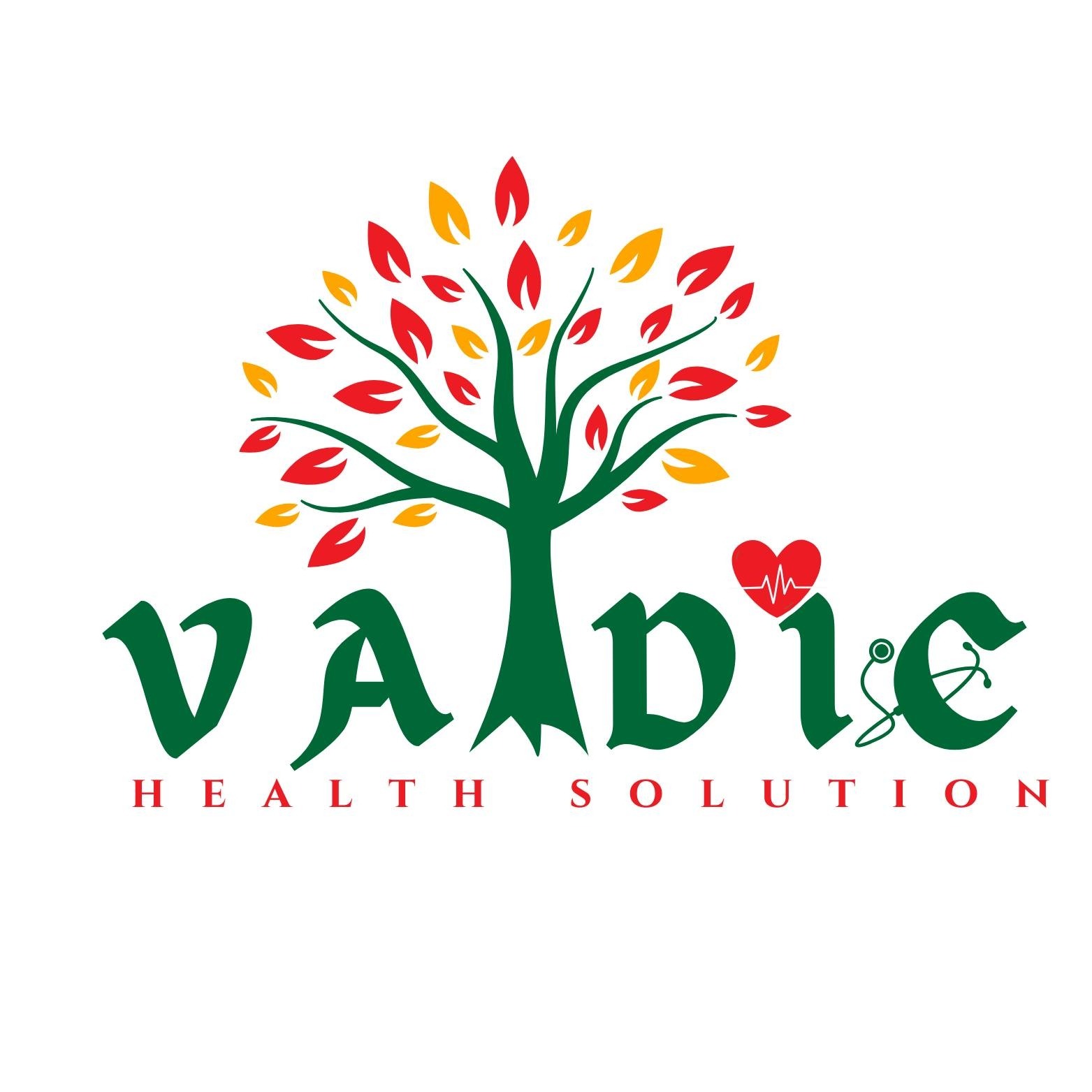 Vaidic Health Solution Logo